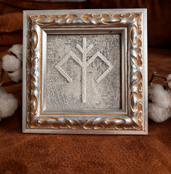 Austras koks, 10x10cm