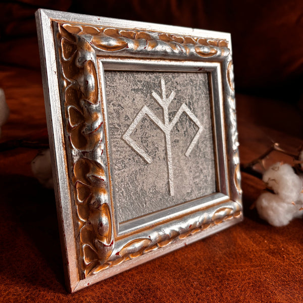 Austras koks, 10x10cm